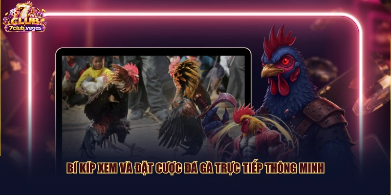 Bí kíp xem và đặt cược đá gà trực tiếp thông minh